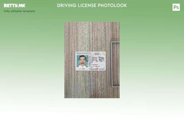 модерен стил САД Масачусетс DL photolook ФРОНТ шаблон